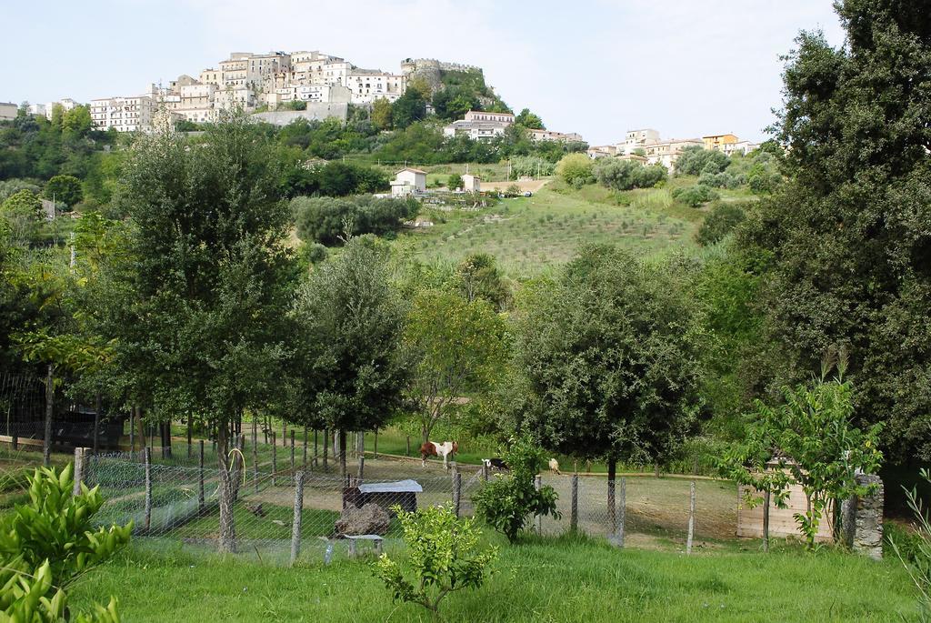 Agriturismo L'Arca Di Anna Brambilla Belvedere Marittimo Buitenkant foto